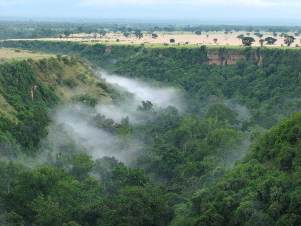 Chimpanzee Trekking in Kyambura Gorge