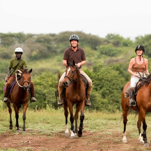 Horseback Riding