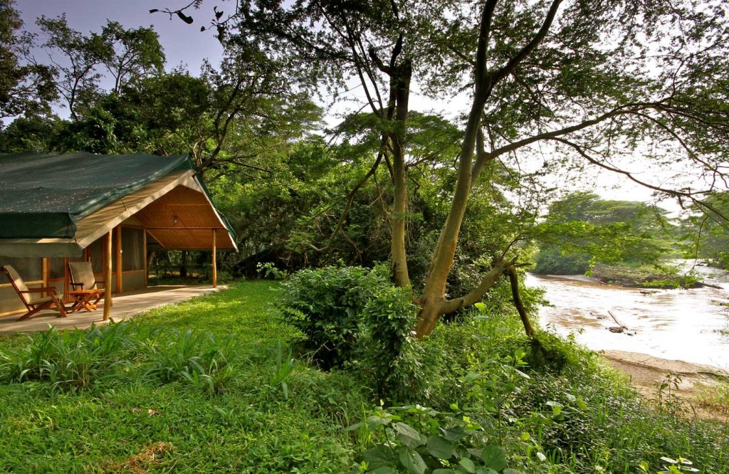 Ishasha Wilderness Camp