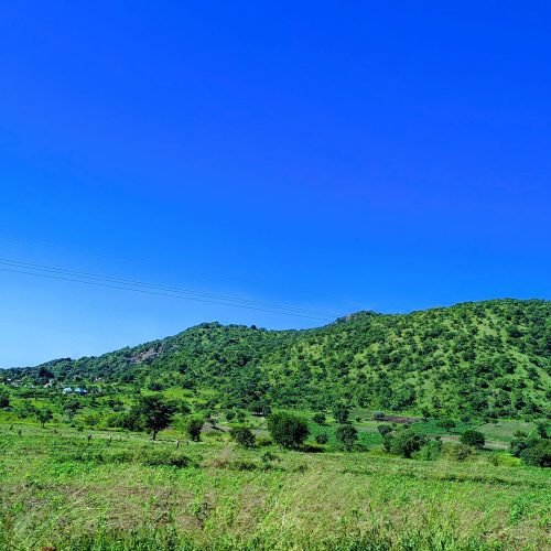 Kidepo Valley National Park