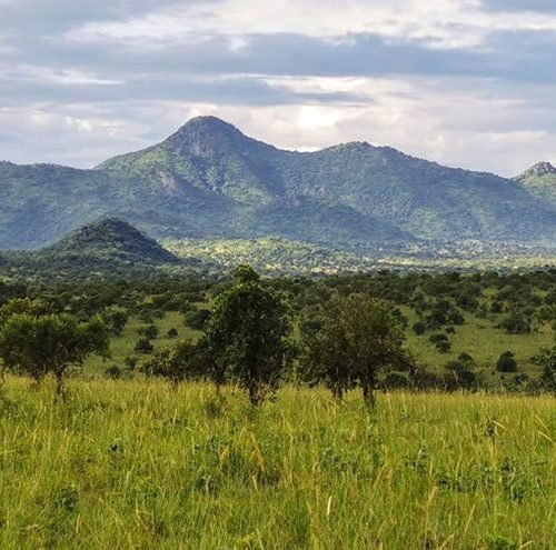 The Lamoj Hills